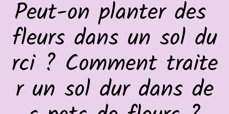 Peut-on planter des fleurs dans un sol durci ? Comment traiter un sol dur dans des pots de fleurs ?