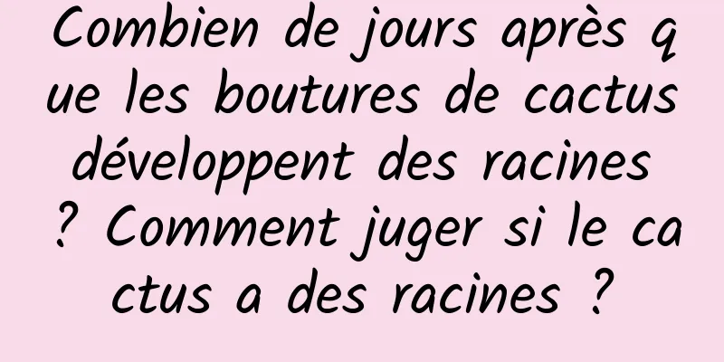 Combien de jours après que les boutures de cactus développent des racines ? Comment juger si le cactus a des racines ?