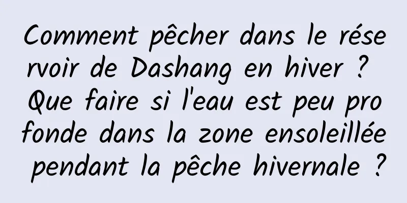 Comment pêcher dans le réservoir de Dashang en hiver ? Que faire si l'eau est peu profonde dans la zone ensoleillée pendant la pêche hivernale ?