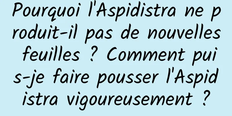 Pourquoi l'Aspidistra ne produit-il pas de nouvelles feuilles ? Comment puis-je faire pousser l'Aspidistra vigoureusement ?
