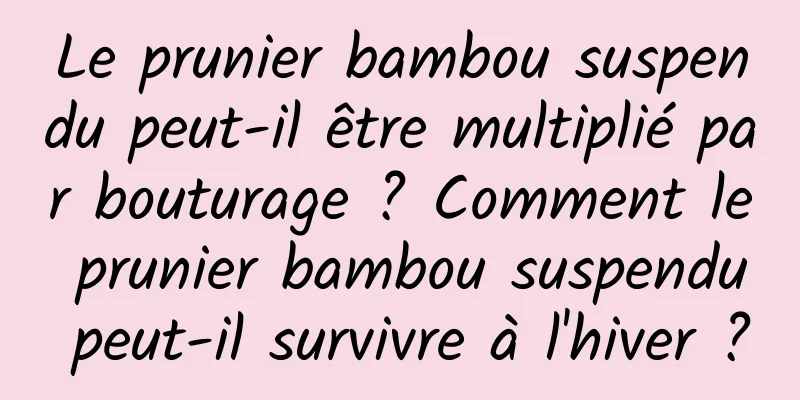 Le prunier bambou suspendu peut-il être multiplié par bouturage ? Comment le prunier bambou suspendu peut-il survivre à l'hiver ?