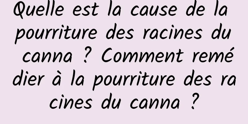 Quelle est la cause de la pourriture des racines du canna ? Comment remédier à la pourriture des racines du canna ?