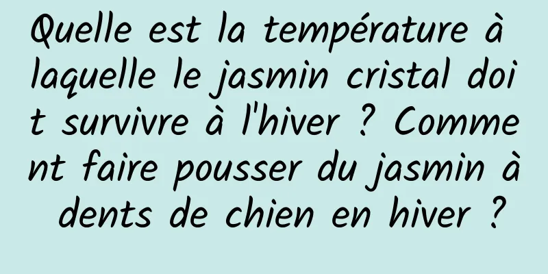 Quelle est la température à laquelle le jasmin cristal doit survivre à l'hiver ? Comment faire pousser du jasmin à dents de chien en hiver ?