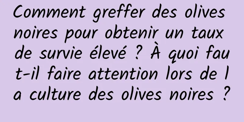 Comment greffer des olives noires pour obtenir un taux de survie élevé ? À quoi faut-il faire attention lors de la culture des olives noires ?