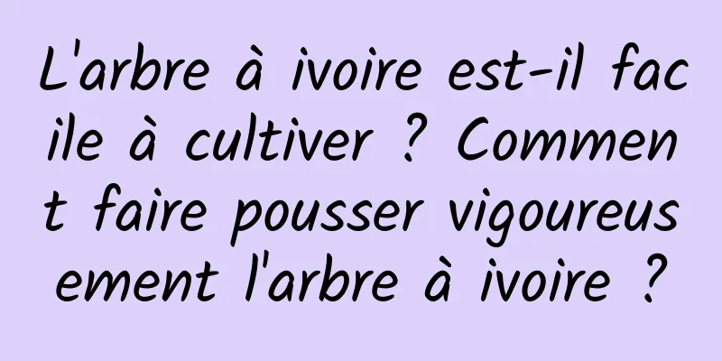 L'arbre à ivoire est-il facile à cultiver ? Comment faire pousser vigoureusement l'arbre à ivoire ?