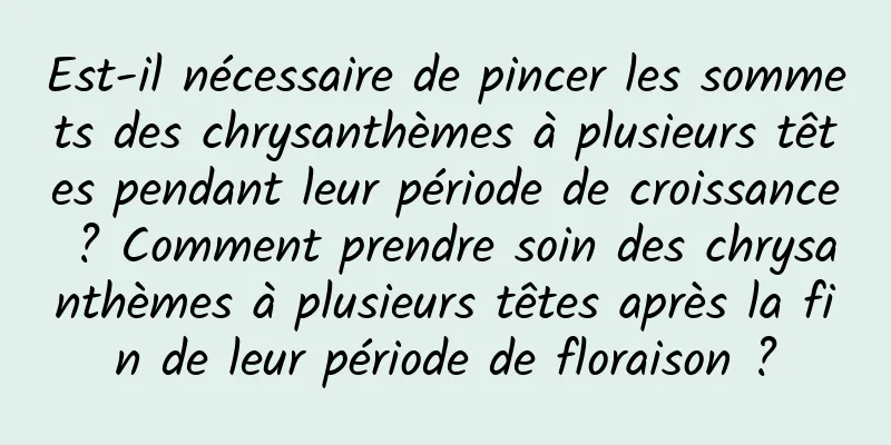 Est-il nécessaire de pincer les sommets des chrysanthèmes à plusieurs têtes pendant leur période de croissance ? Comment prendre soin des chrysanthèmes à plusieurs têtes après la fin de leur période de floraison ?