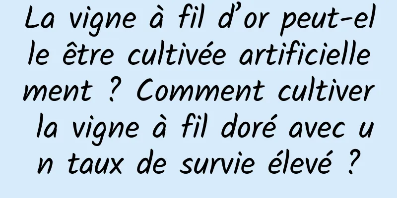 La vigne à fil d’or peut-elle être cultivée artificiellement ? Comment cultiver la vigne à fil doré avec un taux de survie élevé ?