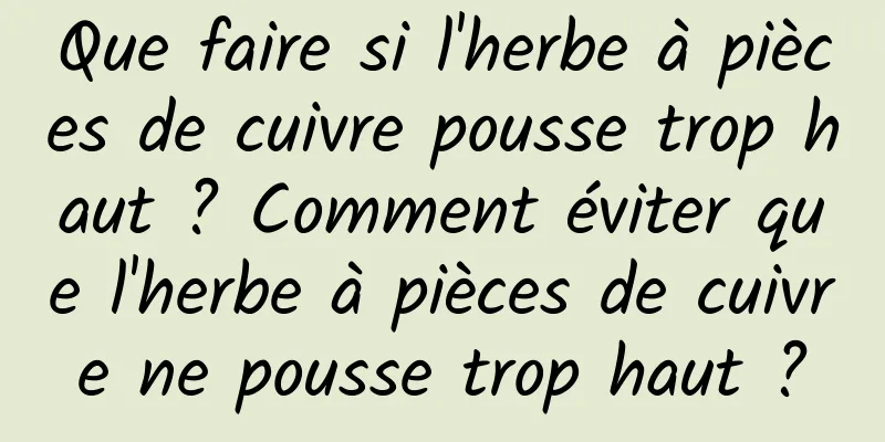 Que faire si l'herbe à pièces de cuivre pousse trop haut ? Comment éviter que l'herbe à pièces de cuivre ne pousse trop haut ?