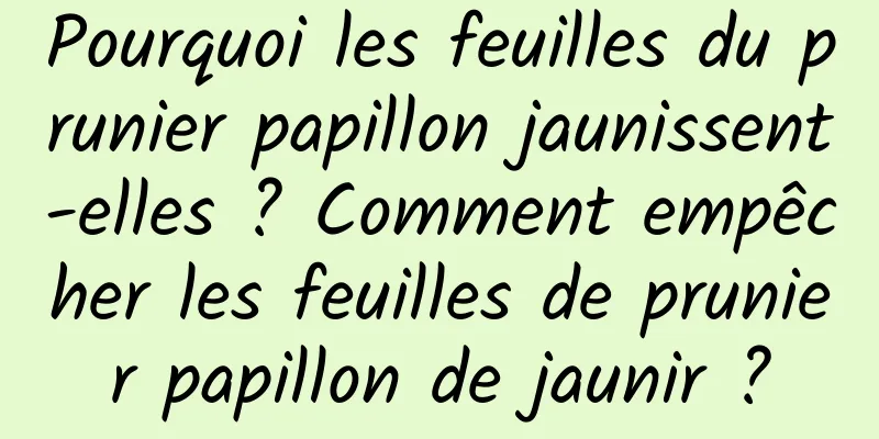 Pourquoi les feuilles du prunier papillon jaunissent-elles ? Comment empêcher les feuilles de prunier papillon de jaunir ?