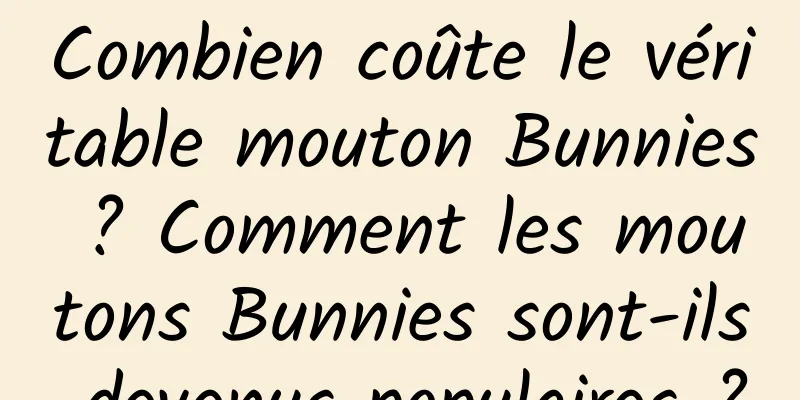 Combien coûte le véritable mouton Bunnies ? Comment les moutons Bunnies sont-ils devenus populaires ?
