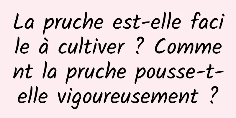 La pruche est-elle facile à cultiver ? Comment la pruche pousse-t-elle vigoureusement ?