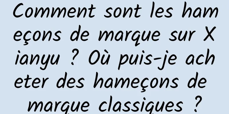 Comment sont les hameçons de marque sur Xianyu ? Où puis-je acheter des hameçons de marque classiques ?