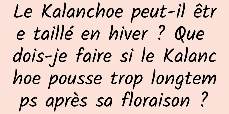 Le Kalanchoe peut-il être taillé en hiver ? Que dois-je faire si le Kalanchoe pousse trop longtemps après sa floraison ?