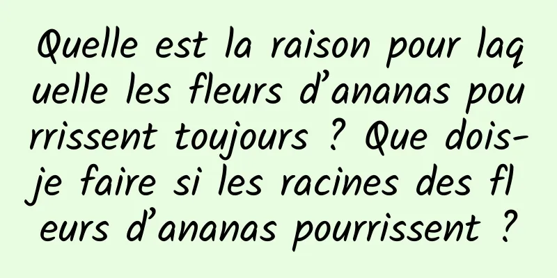 Quelle est la raison pour laquelle les fleurs d’ananas pourrissent toujours ? Que dois-je faire si les racines des fleurs d’ananas pourrissent ?