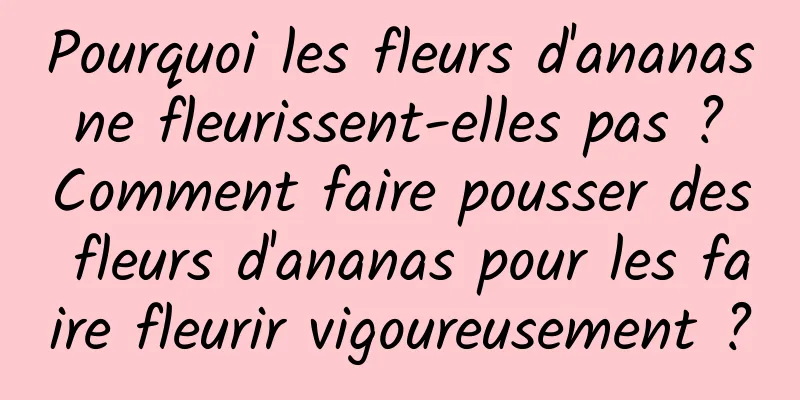 Pourquoi les fleurs d'ananas ne fleurissent-elles pas ? Comment faire pousser des fleurs d'ananas pour les faire fleurir vigoureusement ?