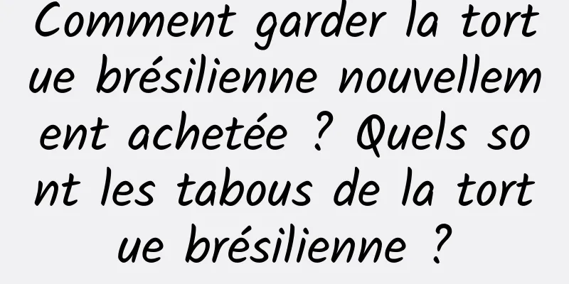 Comment garder la tortue brésilienne nouvellement achetée ? Quels sont les tabous de la tortue brésilienne ?
