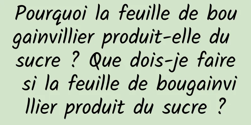 Pourquoi la feuille de bougainvillier produit-elle du sucre ? Que dois-je faire si la feuille de bougainvillier produit du sucre ?