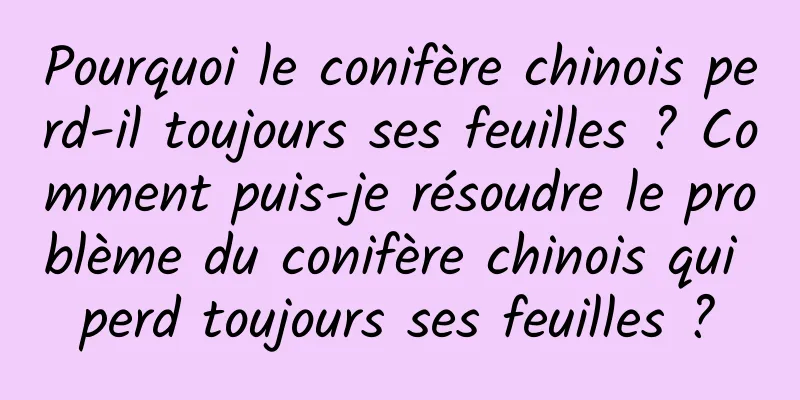 Pourquoi le conifère chinois perd-il toujours ses feuilles ? Comment puis-je résoudre le problème du conifère chinois qui perd toujours ses feuilles ?