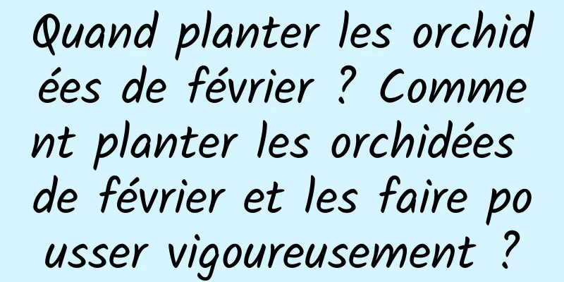 Quand planter les orchidées de février ? Comment planter les orchidées de février et les faire pousser vigoureusement ?