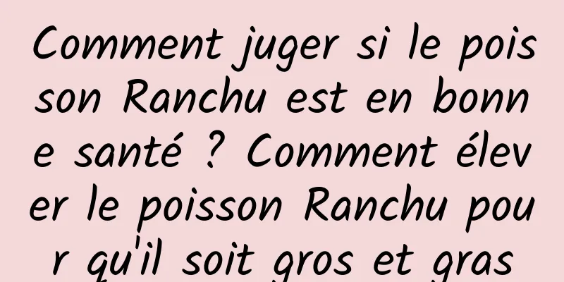 Comment juger si le poisson Ranchu est en bonne santé ? Comment élever le poisson Ranchu pour qu'il soit gros et gras
