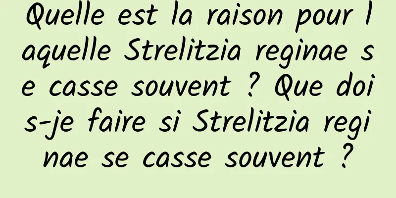 Quelle est la raison pour laquelle Strelitzia reginae se casse souvent ? Que dois-je faire si Strelitzia reginae se casse souvent ?