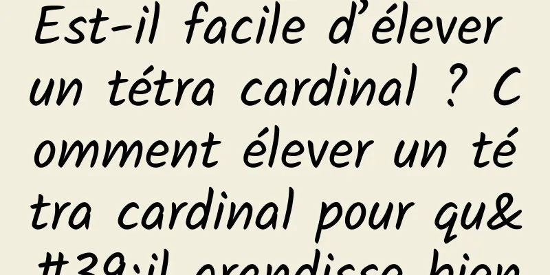 Est-il facile d’élever un tétra cardinal ? Comment élever un tétra cardinal pour qu'il grandisse bien