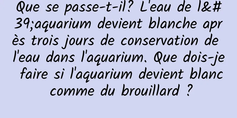 Que se passe-t-il? L'eau de l'aquarium devient blanche après trois jours de conservation de l'eau dans l'aquarium. Que dois-je faire si l'aquarium devient blanc comme du brouillard ?