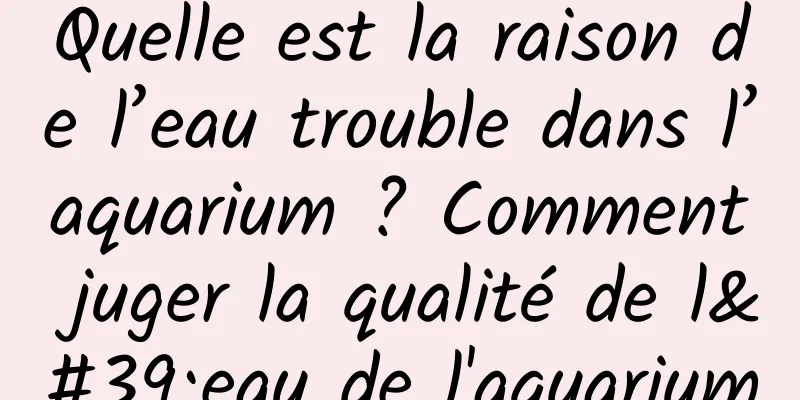 Quelle est la raison de l’eau trouble dans l’aquarium ? Comment juger la qualité de l'eau de l'aquarium