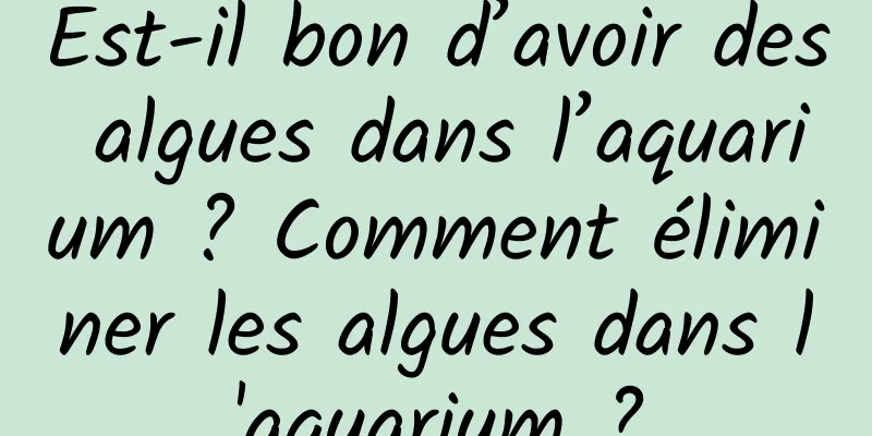 Est-il bon d’avoir des algues dans l’aquarium ? Comment éliminer les algues dans l'aquarium ?