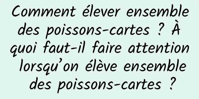 Comment élever ensemble des poissons-cartes ? À quoi faut-il faire attention lorsqu’on élève ensemble des poissons-cartes ?