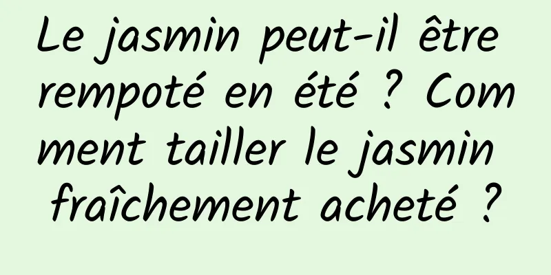 Le jasmin peut-il être rempoté en été ? Comment tailler le jasmin fraîchement acheté ?