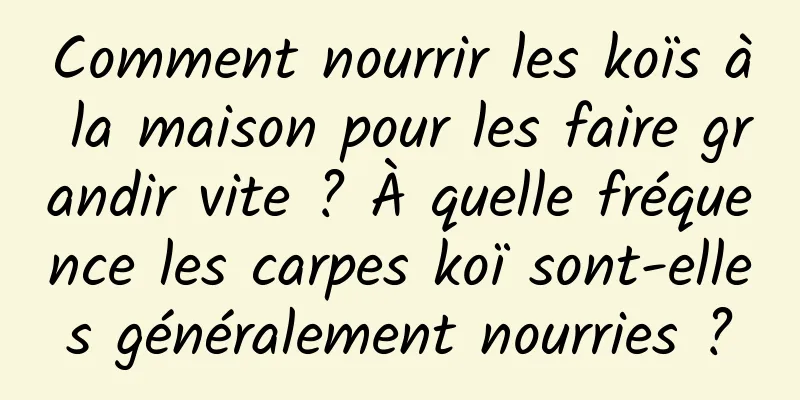 Comment nourrir les koïs à la maison pour les faire grandir vite ? À quelle fréquence les carpes koï sont-elles généralement nourries ?
