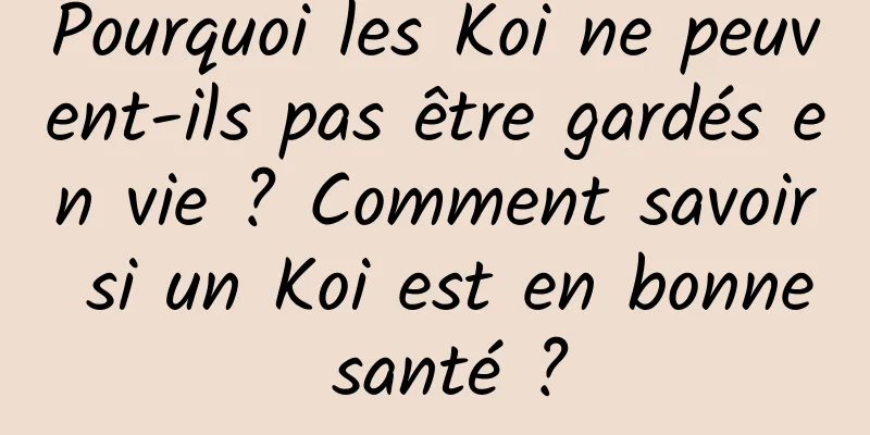 Pourquoi les Koi ne peuvent-ils pas être gardés en vie ? Comment savoir si un Koi est en bonne santé ?