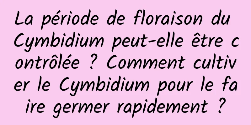 La période de floraison du Cymbidium peut-elle être contrôlée ? Comment cultiver le Cymbidium pour le faire germer rapidement ?