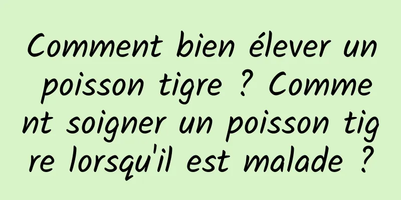Comment bien élever un poisson tigre ? Comment soigner un poisson tigre lorsqu'il est malade ?