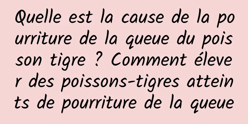 Quelle est la cause de la pourriture de la queue du poisson tigre ? Comment élever des poissons-tigres atteints de pourriture de la queue