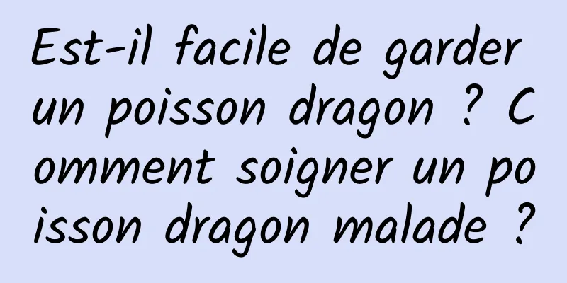 Est-il facile de garder un poisson dragon ? Comment soigner un poisson dragon malade ?