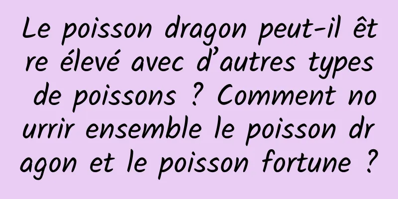 Le poisson dragon peut-il être élevé avec d’autres types de poissons ? Comment nourrir ensemble le poisson dragon et le poisson fortune ?