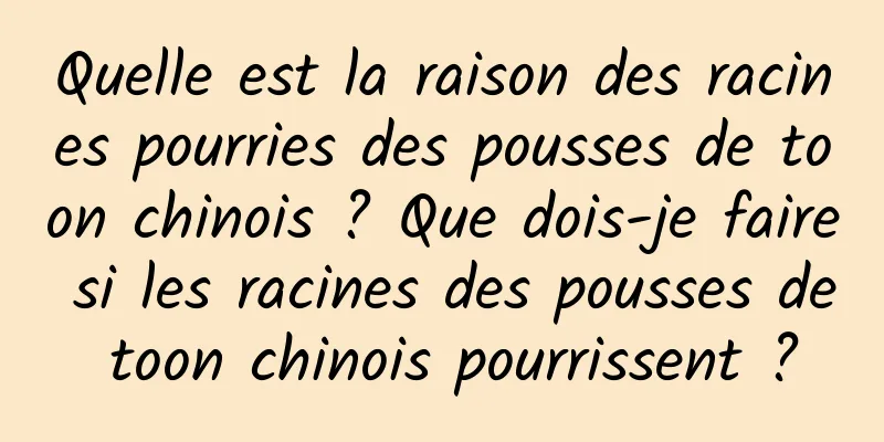 Quelle est la raison des racines pourries des pousses de toon chinois ? Que dois-je faire si les racines des pousses de toon chinois pourrissent ?