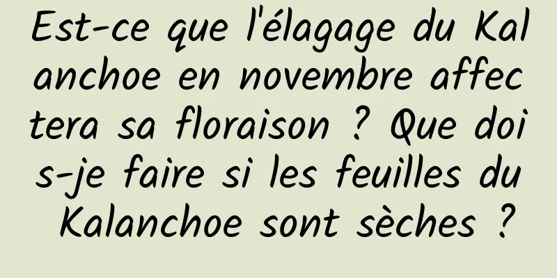 Est-ce que l'élagage du Kalanchoe en novembre affectera sa floraison ? Que dois-je faire si les feuilles du Kalanchoe sont sèches ?