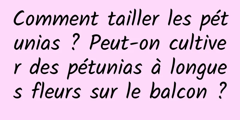 Comment tailler les pétunias ? Peut-on cultiver des pétunias à longues fleurs sur le balcon ?