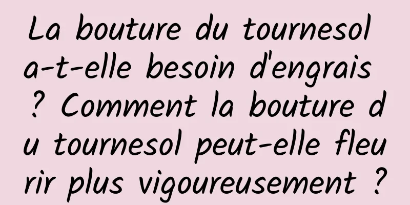 La bouture du tournesol a-t-elle besoin d'engrais ? Comment la bouture du tournesol peut-elle fleurir plus vigoureusement ?