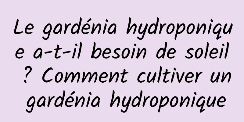 Le gardénia hydroponique a-t-il besoin de soleil ? Comment cultiver un gardénia hydroponique