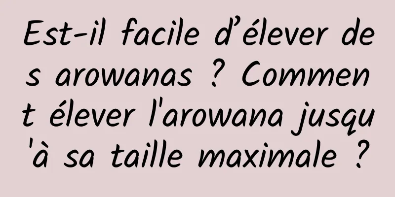 Est-il facile d’élever des arowanas ? Comment élever l'arowana jusqu'à sa taille maximale ?