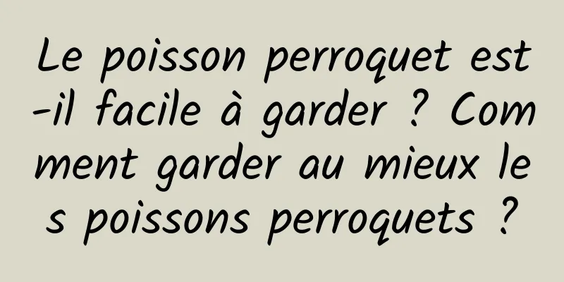 Le poisson perroquet est-il facile à garder ? Comment garder au mieux les poissons perroquets ?