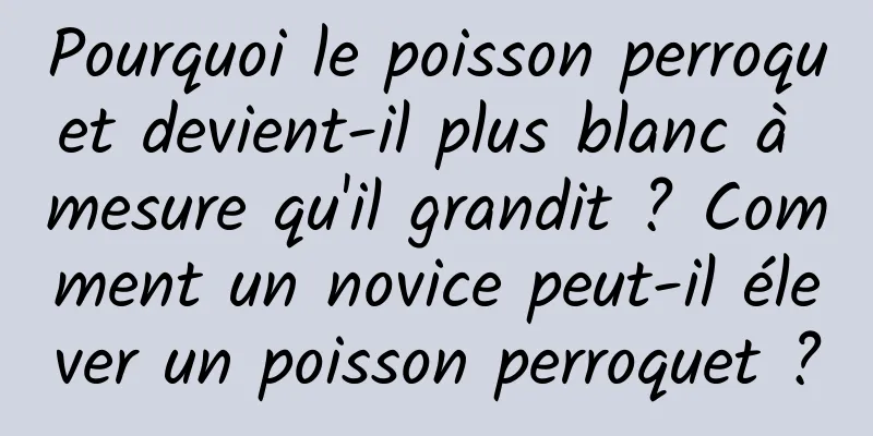 Pourquoi le poisson perroquet devient-il plus blanc à mesure qu'il grandit ? Comment un novice peut-il élever un poisson perroquet ?