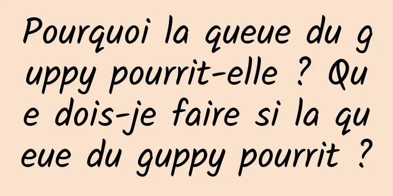Pourquoi la queue du guppy pourrit-elle ? Que dois-je faire si la queue du guppy pourrit ?