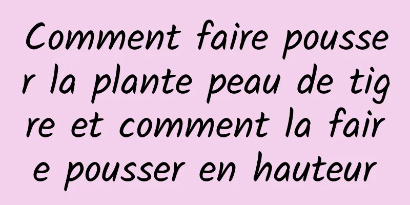 Comment faire pousser la plante peau de tigre et comment la faire pousser en hauteur