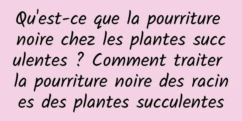 Qu'est-ce que la pourriture noire chez les plantes succulentes ? Comment traiter la pourriture noire des racines des plantes succulentes