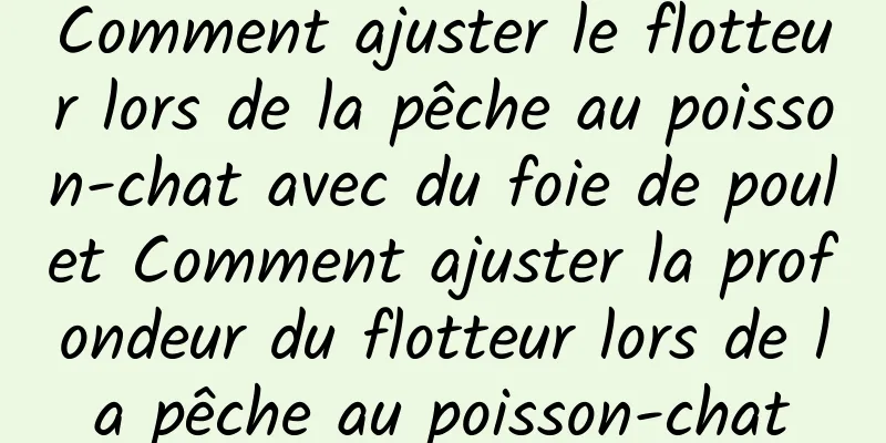 Comment ajuster le flotteur lors de la pêche au poisson-chat avec du foie de poulet Comment ajuster la profondeur du flotteur lors de la pêche au poisson-chat